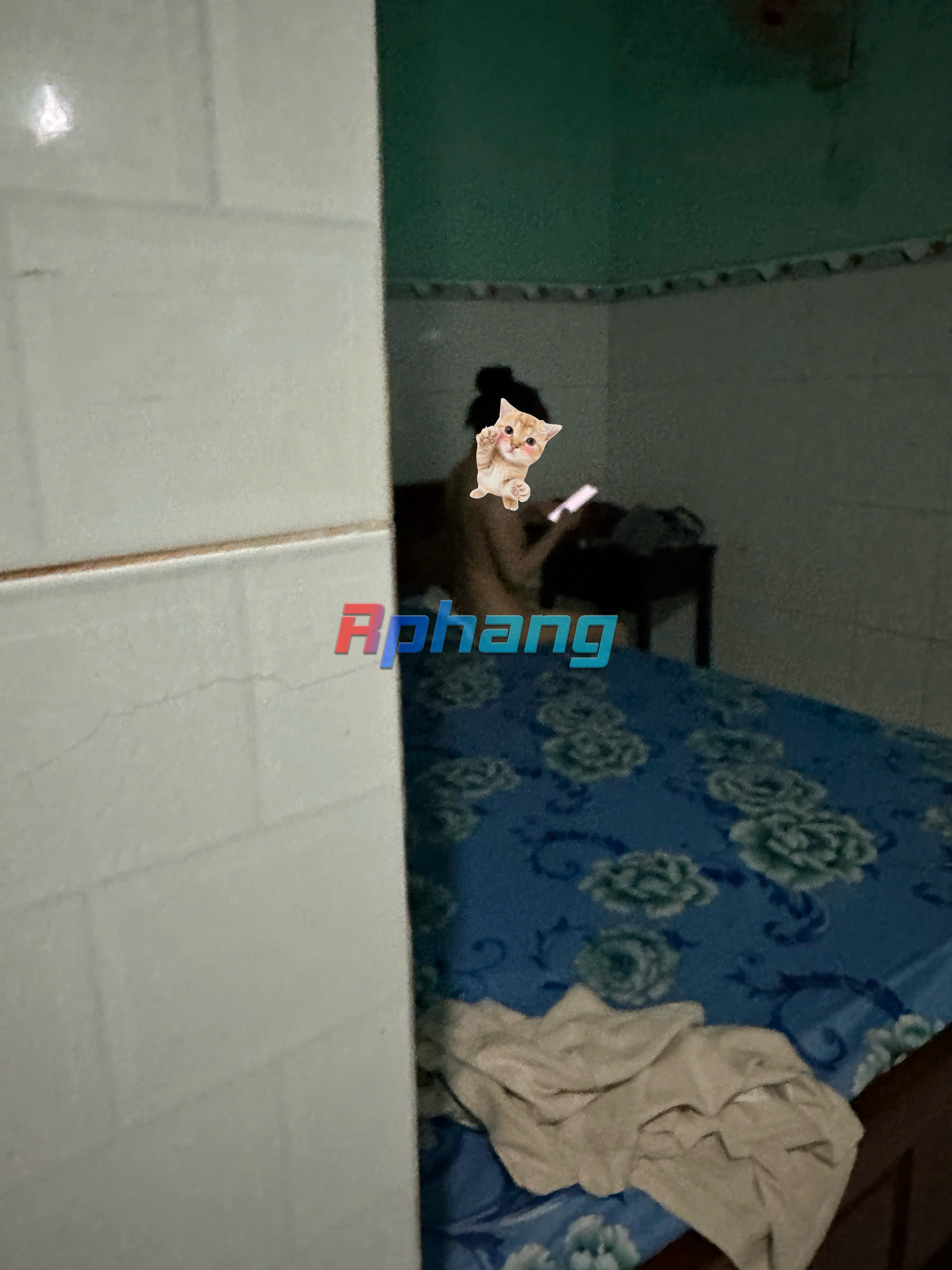 z7578014207008_0647f2f62dae56035dae620299de0113.jpg