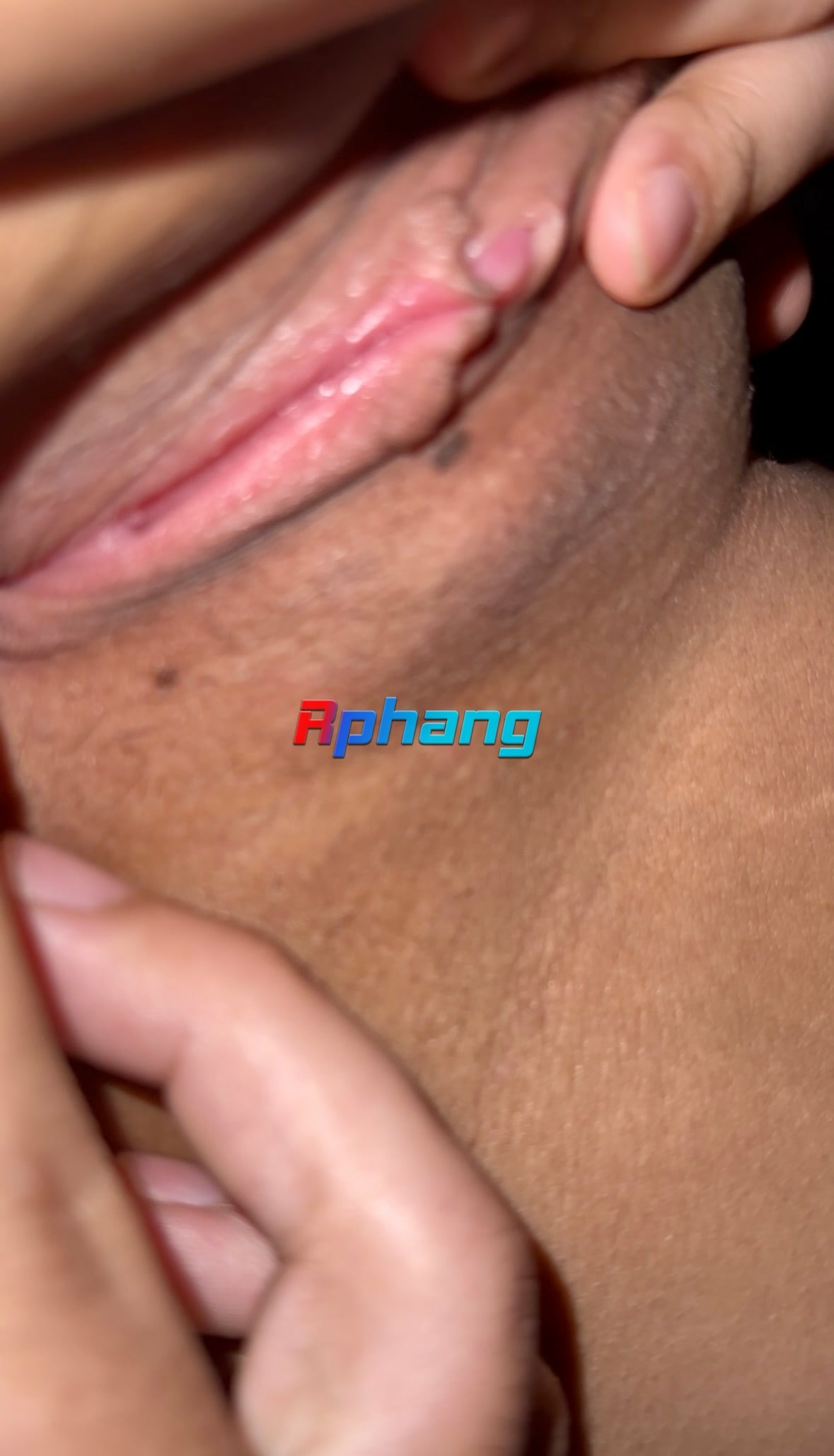 IMG_8768.jpeg