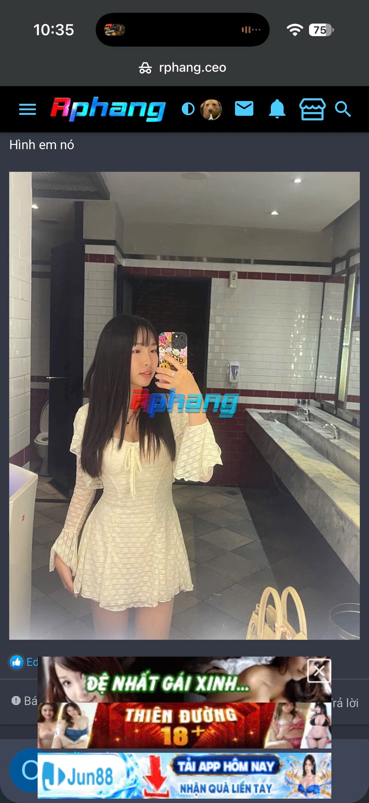 IMG_8452.jpeg