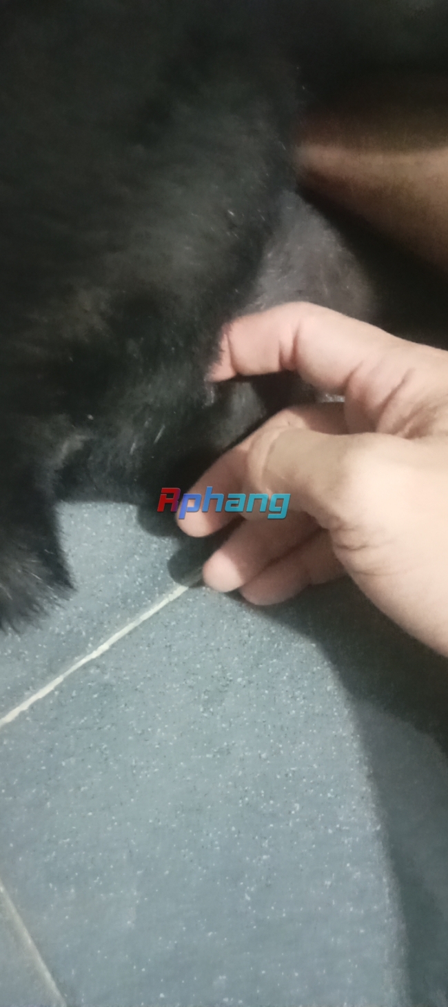 IMG_UPLOAD_20260920_220046.jpg