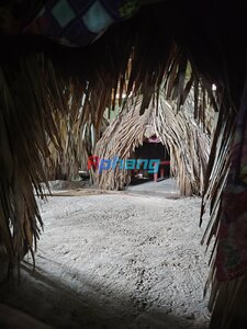 IMG_20260902_121505.jpg