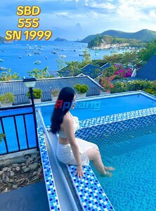 555.jpg