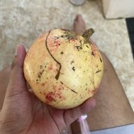 drteo1402