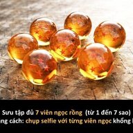 Bạch Đoàn Phi