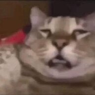 miqan