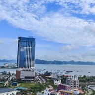 HoaVinh203