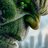 MrHulk