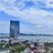 HoaVinh203